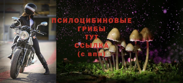 бутират Арсеньев