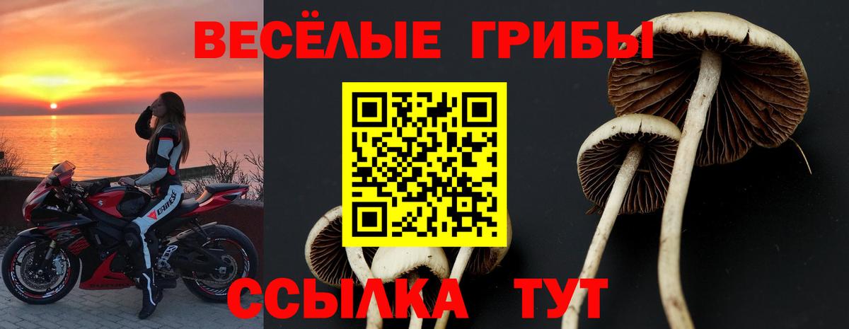 закладки  Галлюциногенные грибы MAGIC MUSHROOMS  Вход с VPN  Белгород 